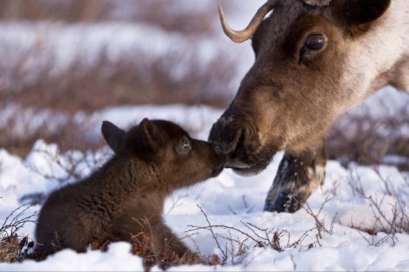 Kamchatka-Peninsula-Eco-tourism8