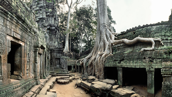 Ta_Prohm2