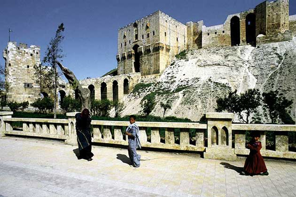 Syria8