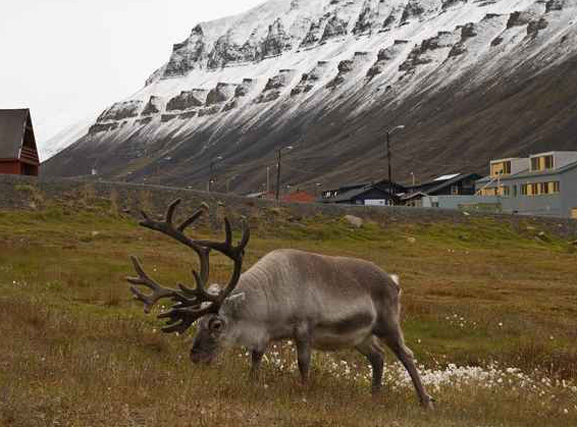 Spitsbergen