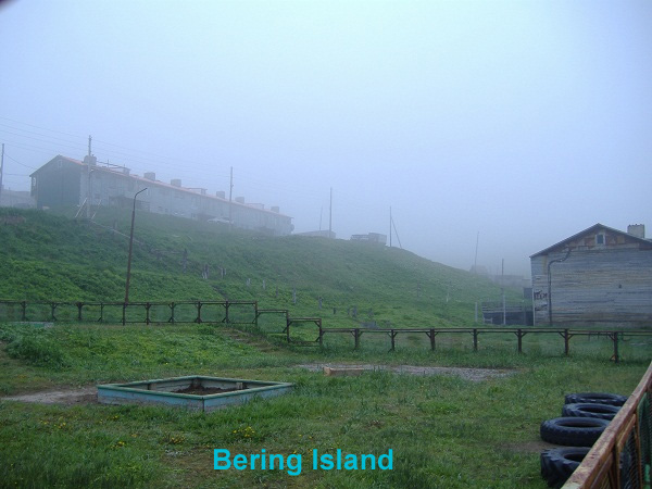 BeringIsland2