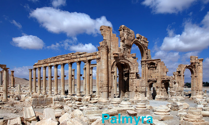 Palmyra5